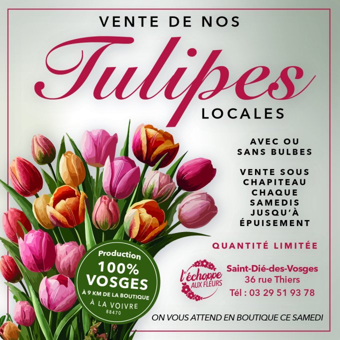 Nos tulipes locales sont là ! ✨ photo 2